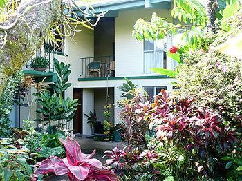 Dolphin Bay Hotel Hilo Zewnętrze zdjęcie